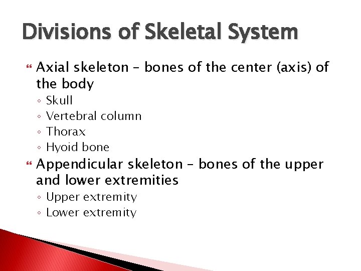 Divisions of Skeletal System Axial skeleton – bones of the center (axis) of the