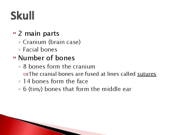 Skull 2 main parts ◦ Cranium (brain case) ◦ Facial bones Number of bones