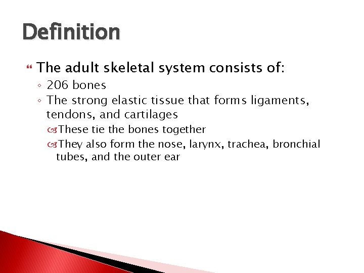 Definition The adult skeletal system consists of: ◦ 206 bones ◦ The strong elastic