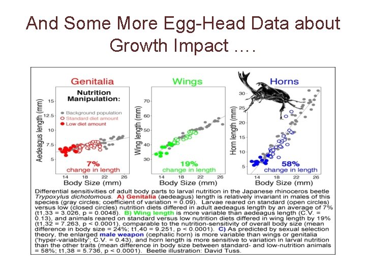 And Some More Egg-Head Data about Growth Impact …. 