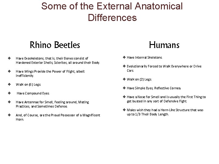 Some of the External Anatomical Differences Rhino Beetles v v Have Exoskeletons, that is,