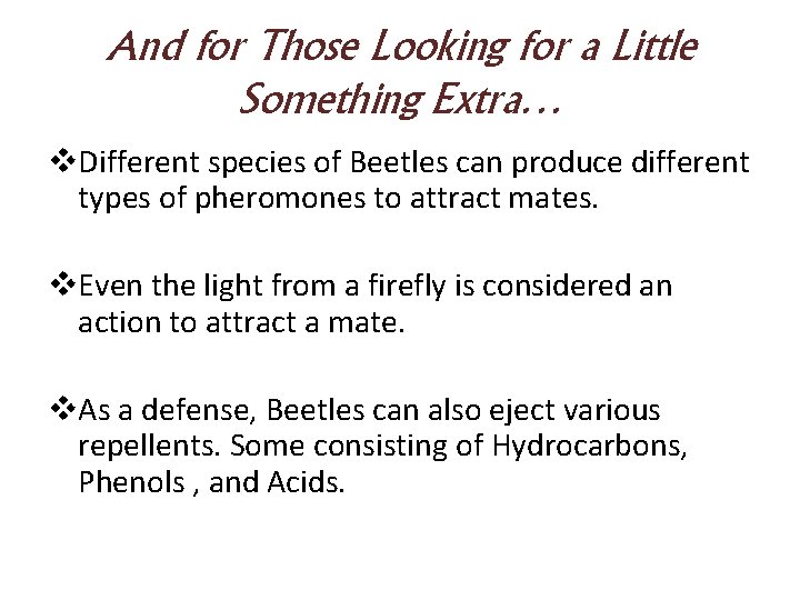 And for Those Looking for a Little Something Extra… v. Different species of Beetles