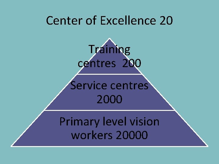 Center of Excellence 20 Training centres 200 Service centres 2000 Primary level vision workers