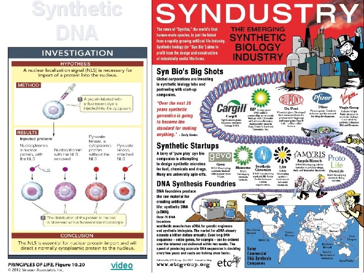 Synthetic DNA video 