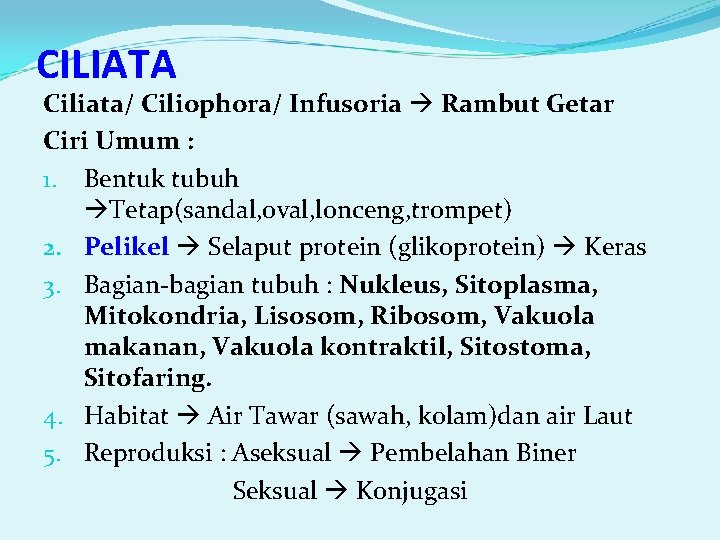 CILIATA Ciliata/ Ciliophora/ Infusoria Rambut Getar Ciri Umum : 1. Bentuk tubuh Tetap(sandal, oval,