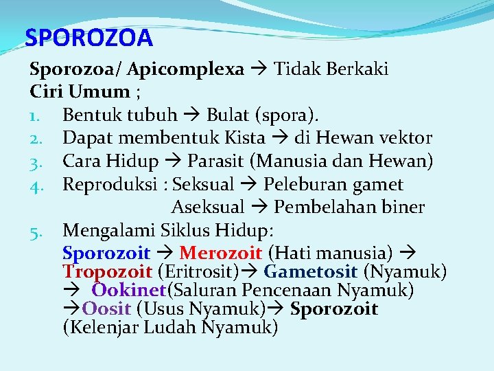 SPOROZOA Sporozoa/ Apicomplexa Tidak Berkaki Ciri Umum ; 1. Bentuk tubuh Bulat (spora). 2.