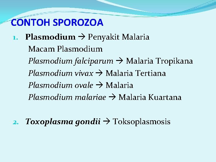 CONTOH SPOROZOA 1. Plasmodium Penyakit Malaria Macam Plasmodium falciparum Malaria Tropikana Plasmodium vivax Malaria