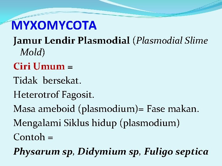 MYXOMYCOTA Jamur Lendir Plasmodial (Plasmodial Slime Mold) Ciri Umum = Tidak bersekat. Heterotrof Fagosit.