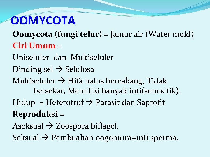 OOMYCOTA Oomycota (fungi telur) = Jamur air (Water mold) Ciri Umum = Uniseluler dan