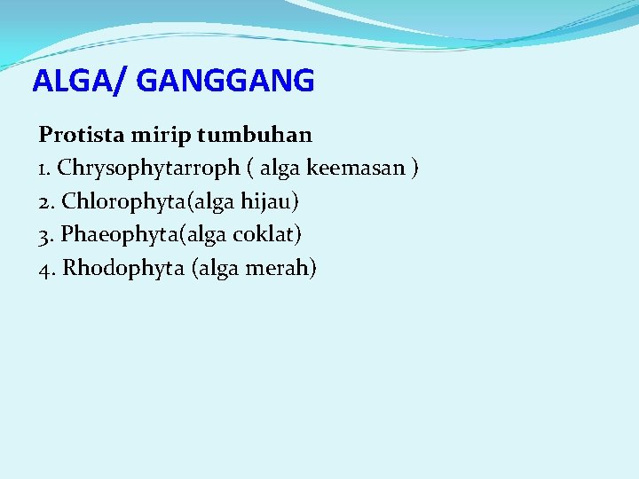 ALGA/ GANG Protista mirip tumbuhan 1. Chrysophytarroph ( alga keemasan ) 2. Chlorophyta(alga hijau)