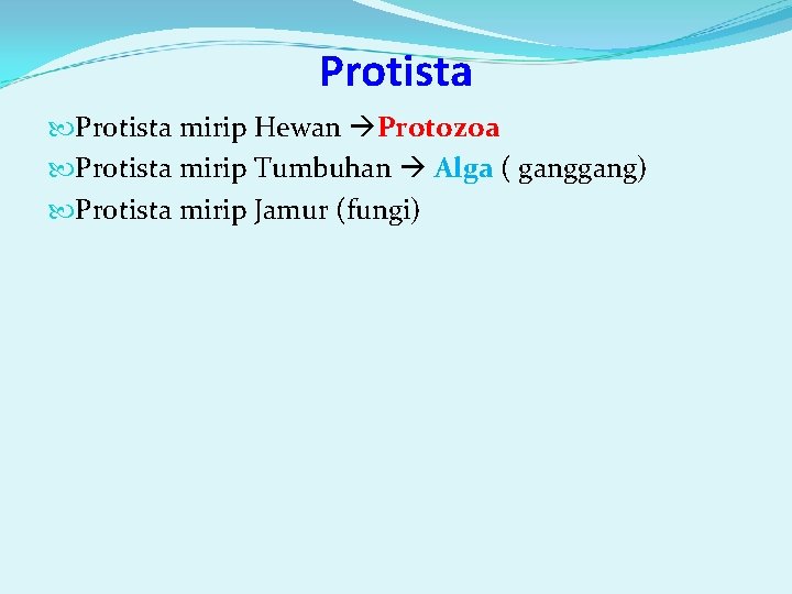 Protista mirip Hewan Protozoa Protista mirip Tumbuhan Alga ( gang) Protista mirip Jamur (fungi)