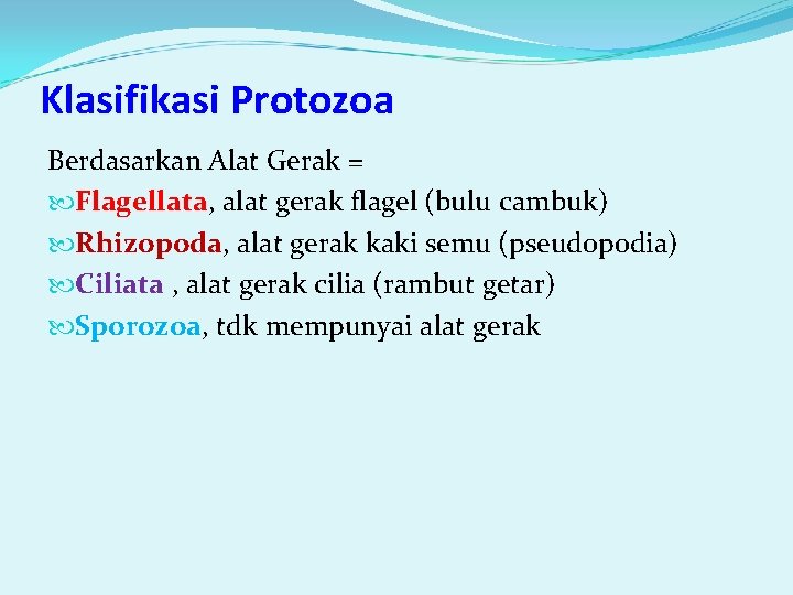 Klasifikasi Protozoa Berdasarkan Alat Gerak = Flagellata, alat gerak flagel (bulu cambuk) Rhizopoda, alat