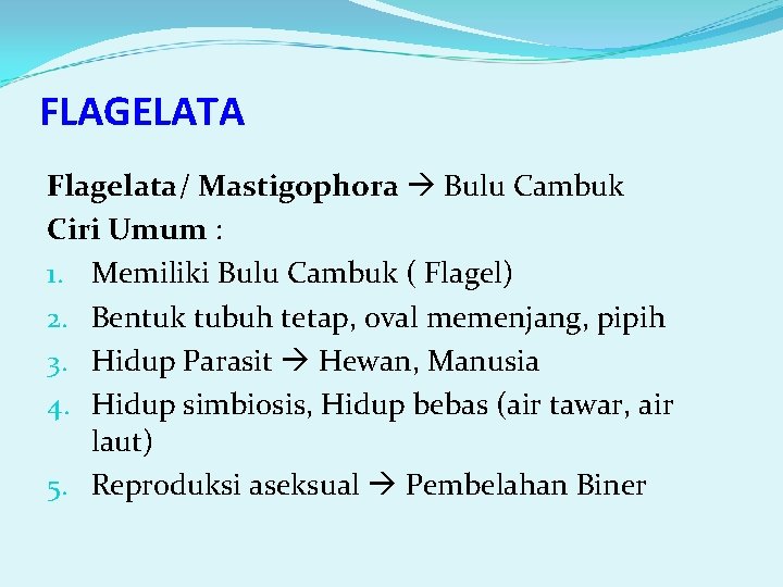 FLAGELATA Flagelata/ Mastigophora Bulu Cambuk Ciri Umum : 1. Memiliki Bulu Cambuk ( Flagel)