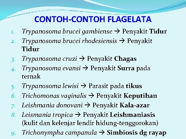 CONTOH-CONTOH FLAGELATA 1. Trypanosoma brucei gambiense Penyakit Tidur 2. Trypanosoma brucei rhodesiensis Penyakit Tidur