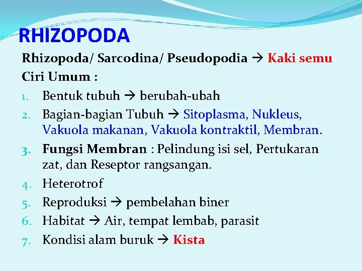 RHIZOPODA Rhizopoda/ Sarcodina/ Pseudopodia Kaki semu Ciri Umum : 1. Bentuk tubuh berubah-ubah 2.