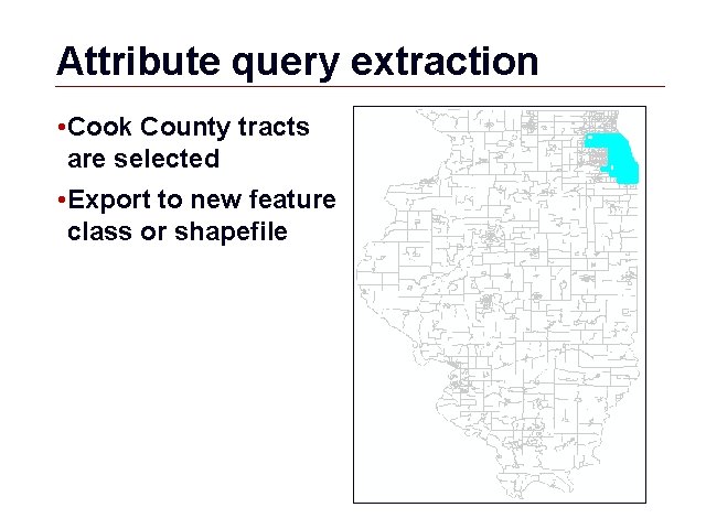 Attribute query extraction • Cook County tracts are selected • Export to new feature