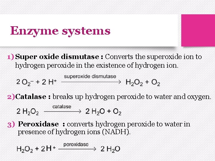 Enzyme systems 1) Super oxide dismutase : Converts the superoxide ion to hydrogen peroxide Enzyme systems 1) Super oxide dismutase : Converts the superoxide ion to hydrogen peroxide