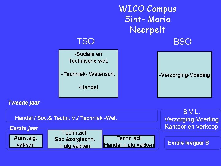 WICO Campus Sint- Maria Neerpelt BSO TSO -Sociale en Technische wet. -Techniek- Wetensch. -Verzorging-Voeding