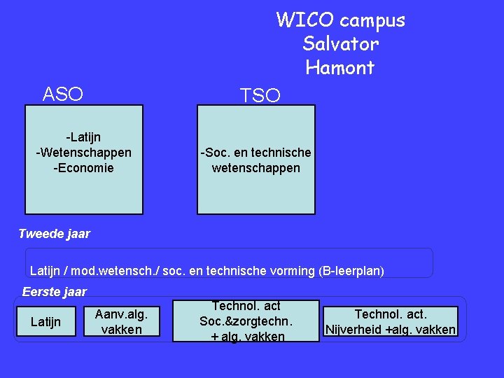 WICO campus Salvator Hamont TSO ASO Latijn Economie -Latijn Wetenschappen -Wetenschappen Humane weten -Economie