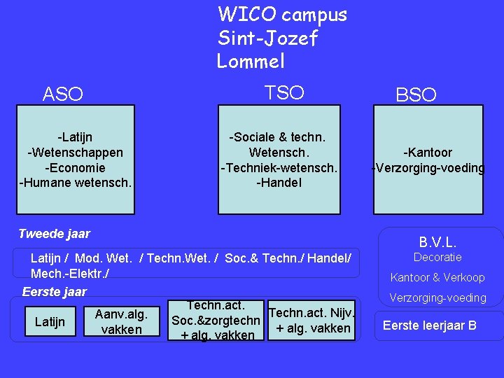 WICO campus Sint-Jozef Lommel ASO Latijn Economie -Latijn Wetenschappen -Wetenschappen Humane weten -Economie schapen