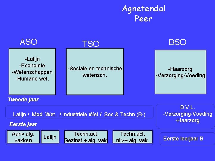 Agnetendal Peer ASO BSO TSO -Latijn -Economie -Wetenschappen -Humane wet. -Sociale en technische wetensch.