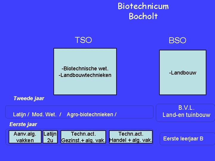 Biotechnicum Bocholt TSO -Biotechnische wet. -Landbouwtechnieken BSO -Landbouw Tweede jaar Latijn / Mod. Wet.