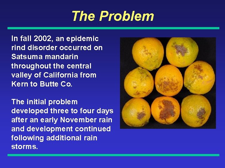 The Problem In fall 2002, an epidemic rind disorder occurred on Satsuma mandarin throughout