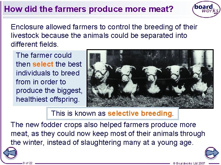 How did the farmers produce more meat? Enclosure allowed farmers to control the breeding
