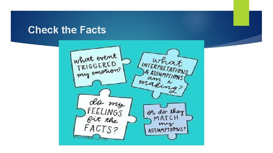 Check the Facts Check the Facts