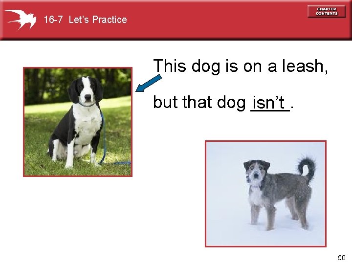 16 -7 Let’s Practice This dog is on a leash, but that dog ____.