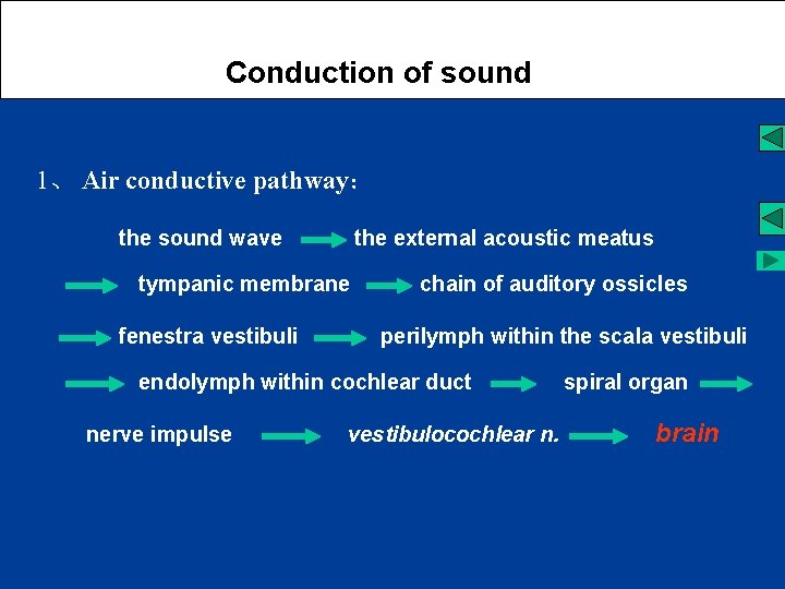  Conduction of sound 1、 Air conductive pathway： the sound wave the external acoustic