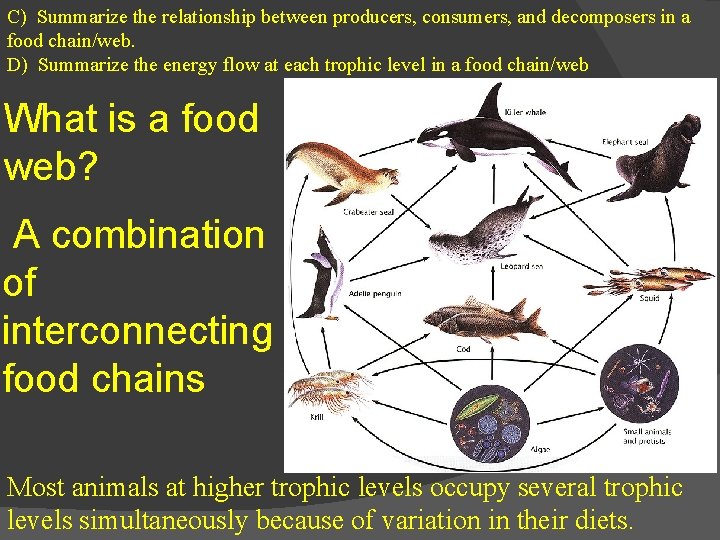 C) Summarize the relationship between producers, consumers, and decomposers in a food chain/web. D)