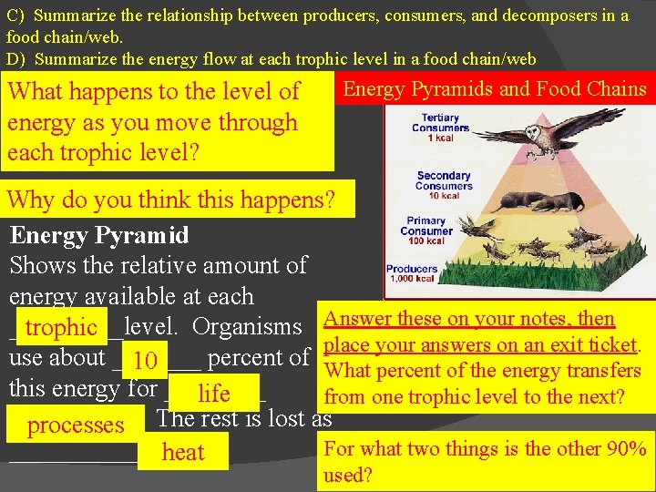 C) Summarize the relationship between producers, consumers, and decomposers in a food chain/web. D)