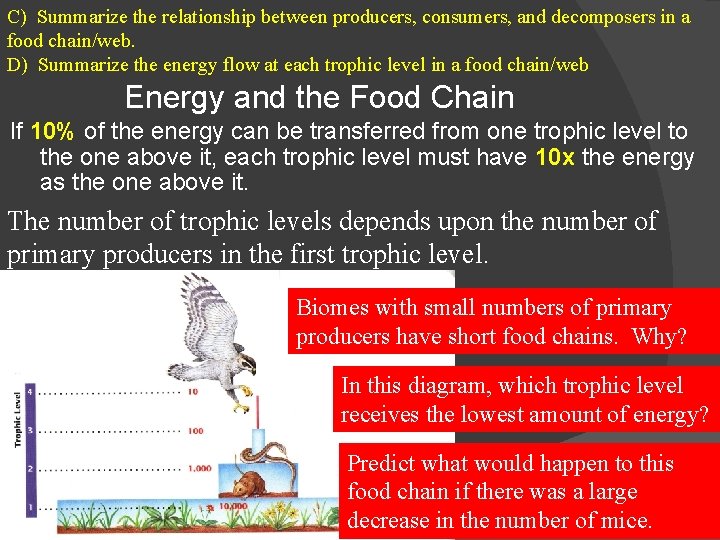 C) Summarize the relationship between producers, consumers, and decomposers in a food chain/web. D)