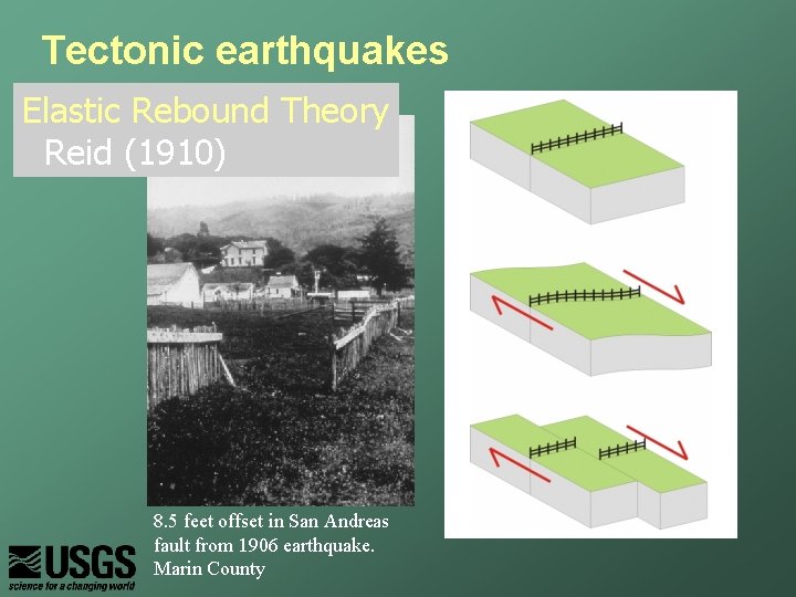 Tectonic earthquakes Elastic Rebound Theory Reid (1910) 8. 5 feet offset in San Andreas