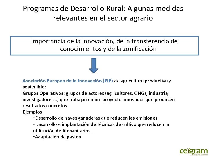 Programas de Desarrollo Rural: Algunas medidas relevantes en el sector agrario Importancia de la