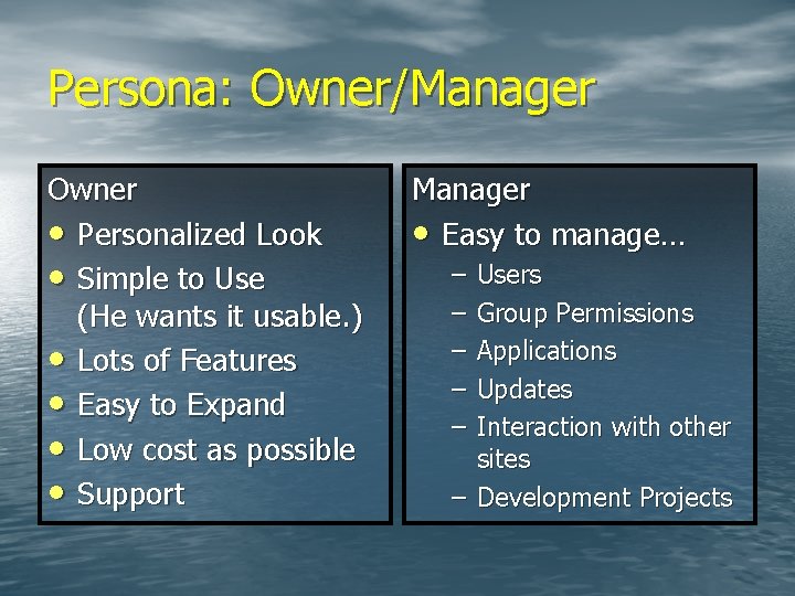 Persona: Owner/Manager Owner • Personalized Look • Simple to Use (He wants it usable.