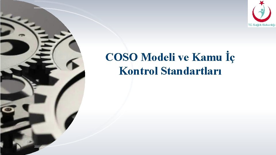 COSO Modeli ve Kamu İç Kontrol Standartları 