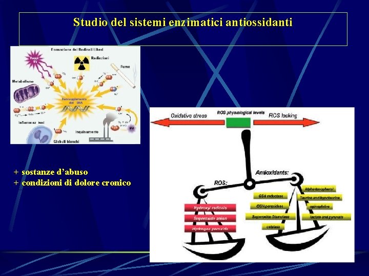 Studio del sistemi enzimatici antiossidanti + sostanze d’abuso + condizioni di dolore cronico 