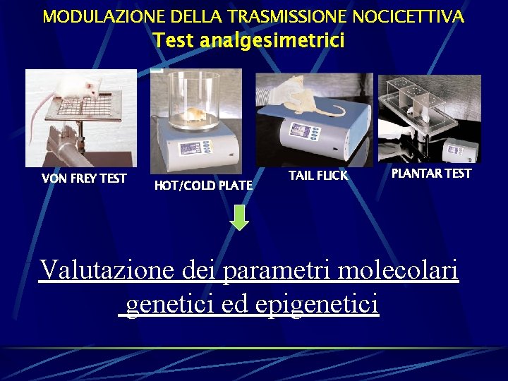 MODULAZIONE DELLA TRASMISSIONE NOCICETTIVA Test analgesimetrici VON FREY TEST HOT/COLD PLATE TAIL FLICK PLANTAR