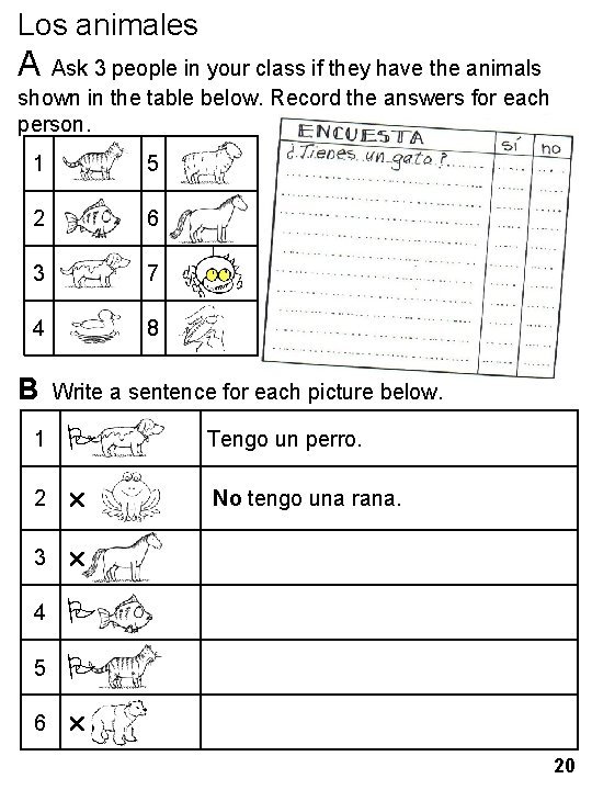 Los animales A Ask 3 people in your class if they have the animals