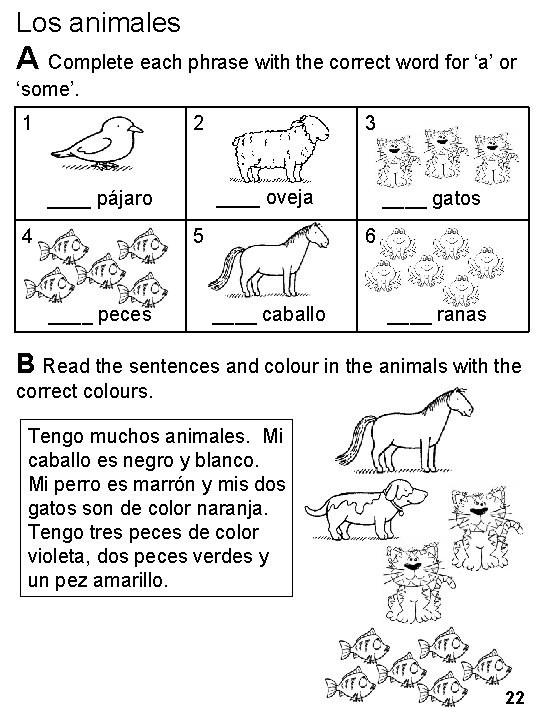 Los animales A Complete each phrase with the correct word for ‘a’ or ‘some’.