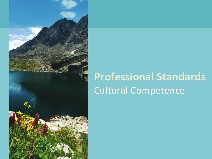 Professional Standards Cultural Competence 