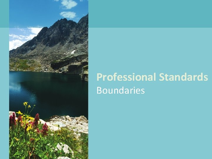 Professional Standards Boundaries 