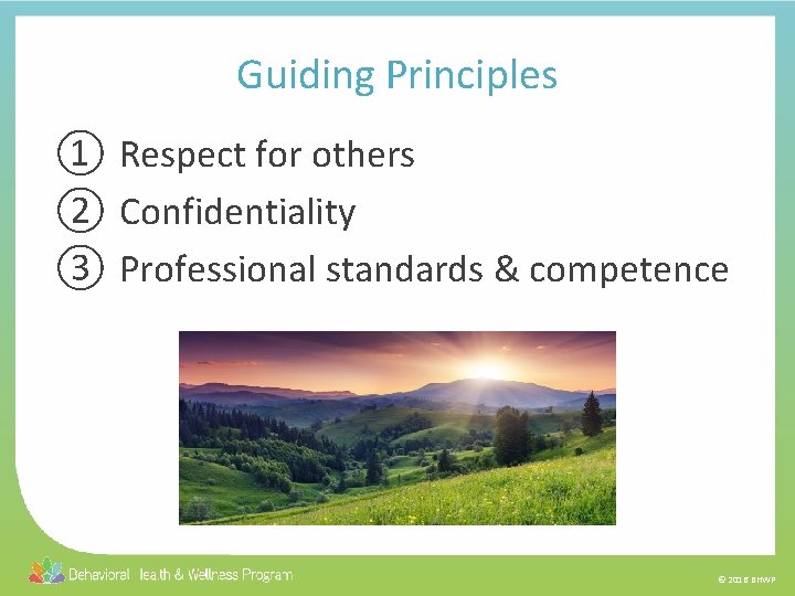 Guiding Principles ① Respect for others ② Confidentiality ③ Professional standards & competence ©