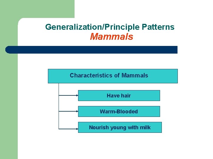 Generalization/Principle Patterns Mammals Characteristics of Mammals Have hair Warm-Blooded Nourish young with milk 