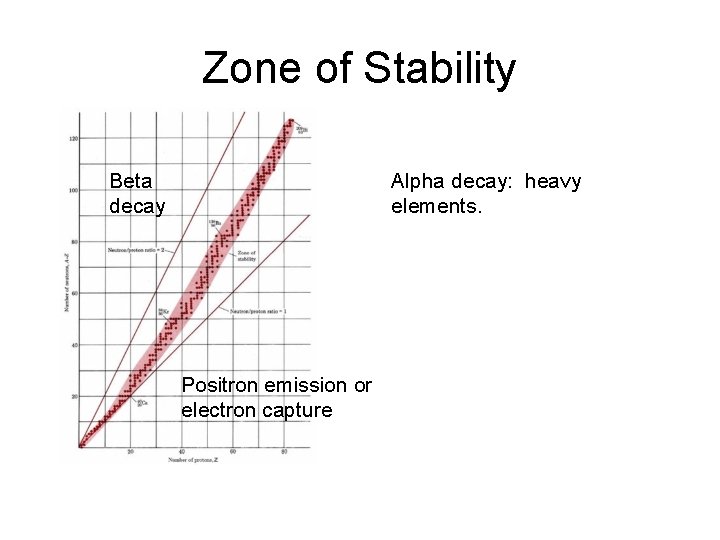 Zone of Stability Beta decay Alpha decay: heavy elements. Positron emission or electron capture