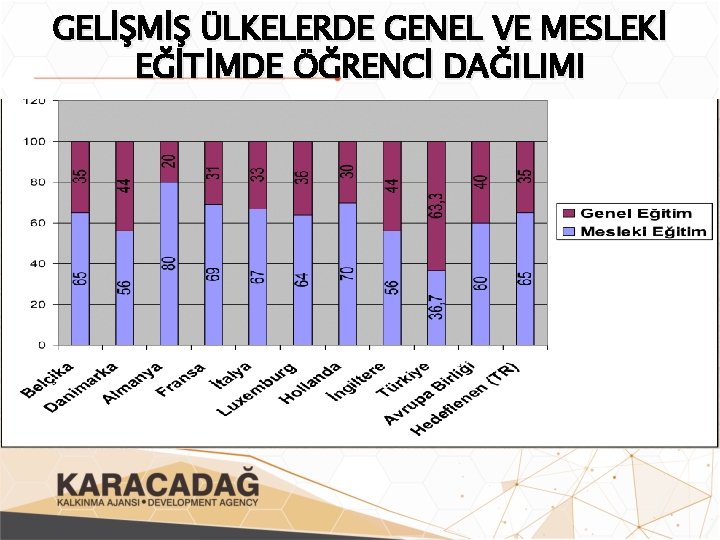 GELİŞMİŞ ÜLKELERDE GENEL VE MESLEKİ EĞİTİMDE ÖĞRENCİ DAĞILIMI 