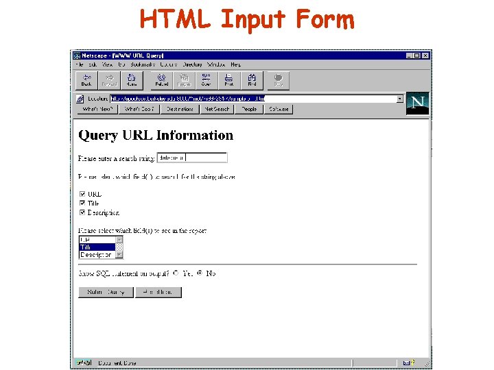 HTML Input Form 