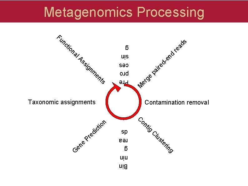 Metagenomics Processing ad re den d ire pa ge er ts en nm ig Metagenomics Processing ad re den d ire pa ge er ts en nm ig